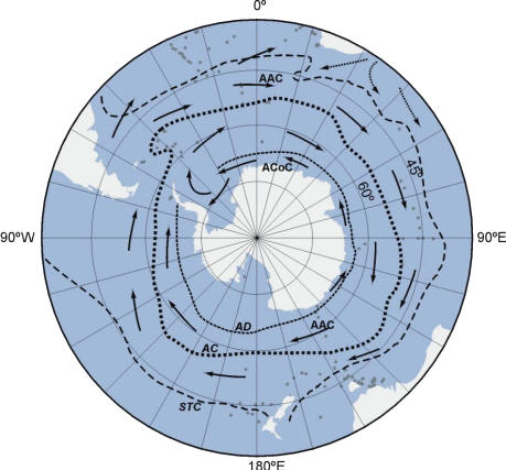 Circulación en el Océano Austral - AAC: Corriente Circumpolar Antártica; ACOC: Corriente Costera Antártica; STC: Línea de Convergencia Subtropical; AC: Línea de Convergencia Antártica; AD: Línea de Divergencia Antártica.