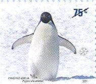 El Pingüino adelia [Pygoscelis adeliae]