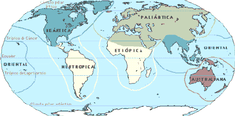 Mapa de las regiones zoogeográficas terrestres