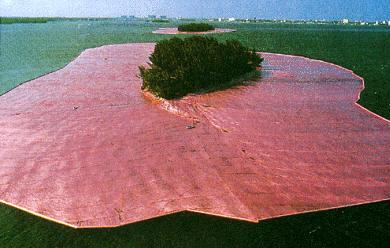 Islas rosadas (1983), de Jabacheff Christo