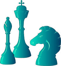 Lo que interesa en una pieza de ajedrez no es su forma, material, tamaño o color, sino su valor; en realidad, cualquier otro objeto podría servir para simular su misma función