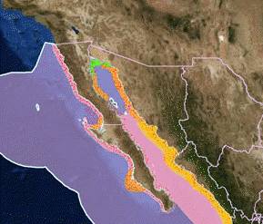 La zona naranja del Golfo indica los caladeros de camarones, hoy en día los más importantes de México