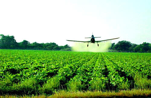 En otras épocas se han dañado seriamente los suelos de cultivo, mediante la fumigación exhaustiva de pesticidas