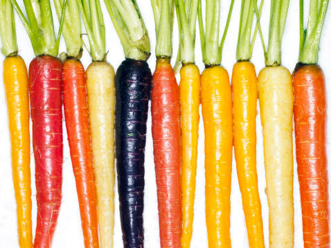 Algunas variedades de zanahoria (Daucus carota)
