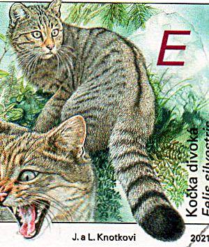 Blog Naturaleza educativa fauna-extincion-gato-montes2 FILATELIA - FAUNA EN VÍAS DE EXTINCIÓN: EL GATO MONTÉS  