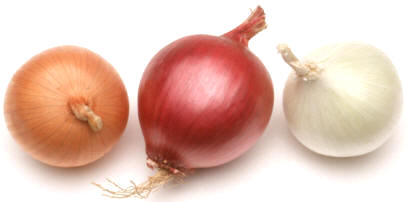 Tres variedades de cebolla