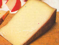 Queso Fontina