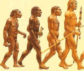 Evolución del hombre