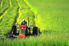 agricultura  y gestión ambiental