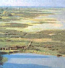 Las marismas es uno de los ecosistemas de Doñana