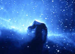 La más famosa de las nebulosas oscuras es la Cabeza de Caballo, en la constelación de Orión