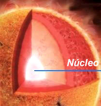 El núcleo solar se encuentra sometido a unos quince millones de grados centígrados