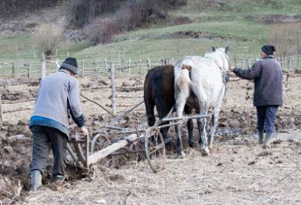 Ganarse el pan / buscarse el pan ...el cocido/las alubias/los garbanzos