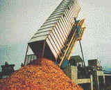 Biomasa destinada a una planta procesadora