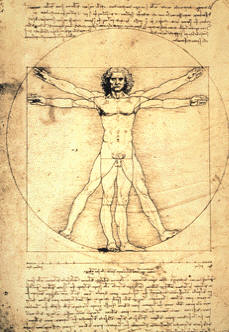 El Hombre de Vitrubio, de Leonardo da Vinci, es un estudio de las proporciones del cuerpo humano que Leonardo basó en las teorías del arquitecto romano Vitrubio, y donde se pone de manifiesto el antropocentrismo y gusto por el arte grecolatino durante los siglos XV y XVI.