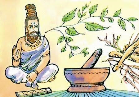 En la India, ya en el siglo III a.C., el cultivo de las plantas medicinales era una actividad regulada