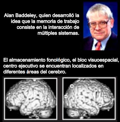 Alan Baddeley, quien desarrolló la idea que la memoria de trabajo consiste en la interacción de múltiples sistemas
