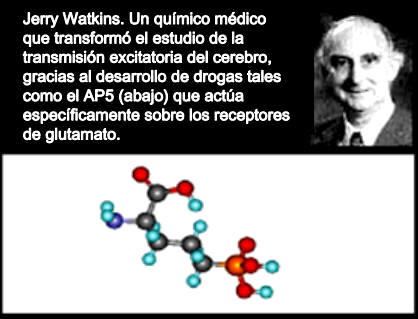 Jerry Watkins. Un químico médico que transformó el estudio de la transmisión excitatoria del cerebro, gracias al desarrollo de drogas tales como el AP5, que actúa específicamente sobre los receptores de glutamao.