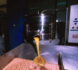 Decantación del aceite de oliva. Foto: www.sabor-artesano.com