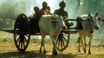 Con la invención de la rueda se consiguió un uso más eficiente de la fuerza de tracción animal en labores agrícolas y en otras numerosas áreas