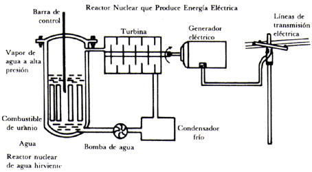 Fig. 45 Operación del reactor nuclear de Laguna Verde, México, en forma esquemática